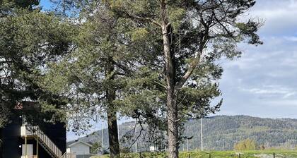 Biri Arena Overnatting