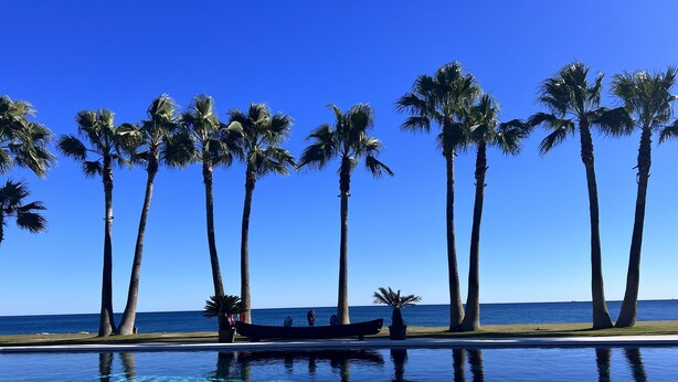 A pool with a wooden deck and a plaque, palm trees, and a view of the ocean. - B&B Villa Maria Guest Rooms - San Roque Golf - Sotogrande (San Roque)