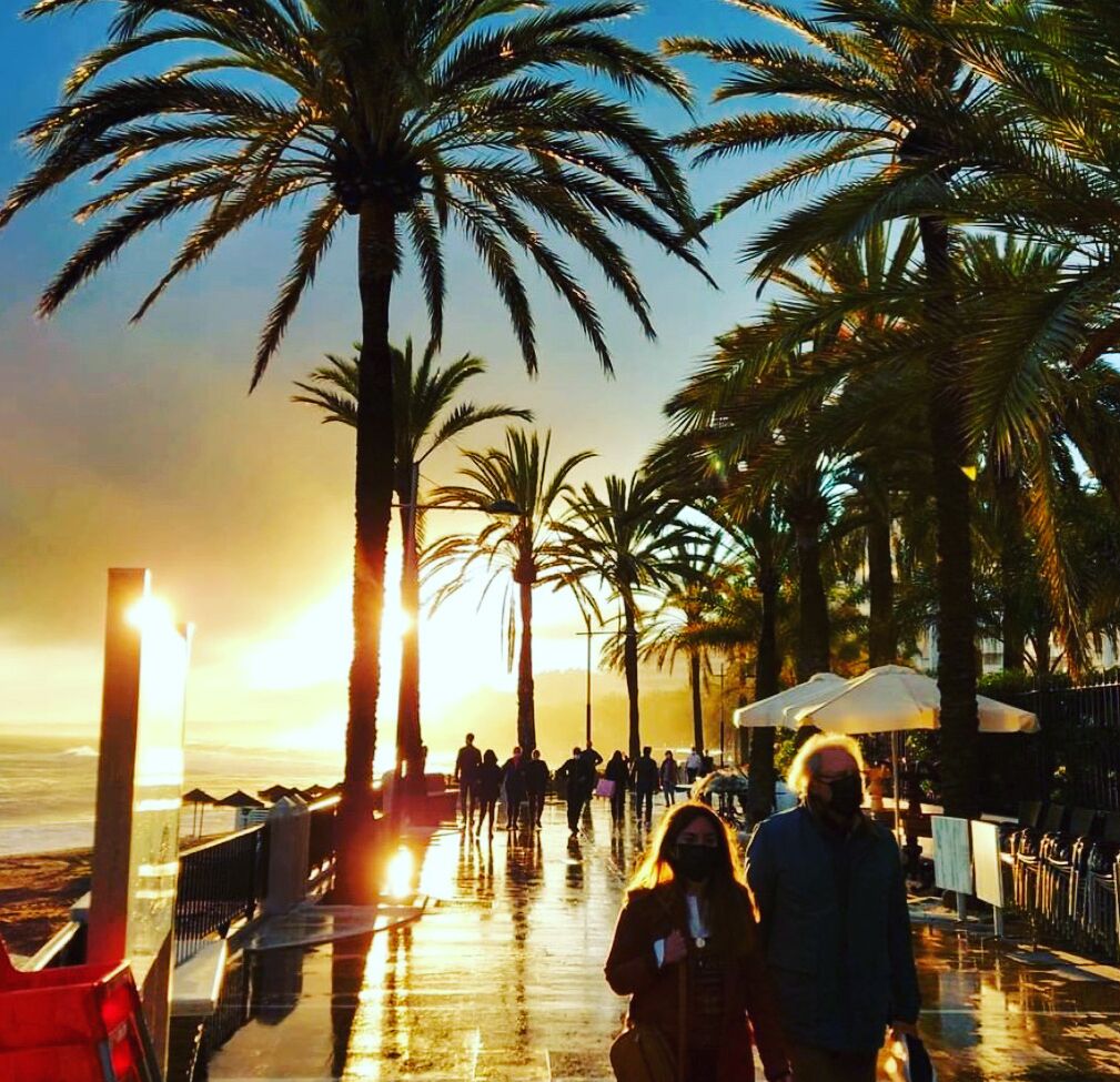Un paseo marítimo con palmeras y sombrillas, que refleja el atardecer.