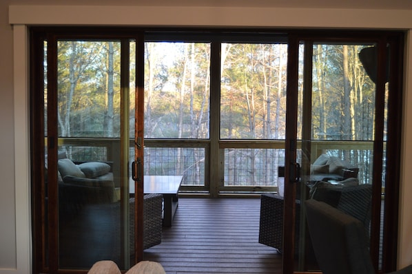 Smart TV, fireplace, video games, books