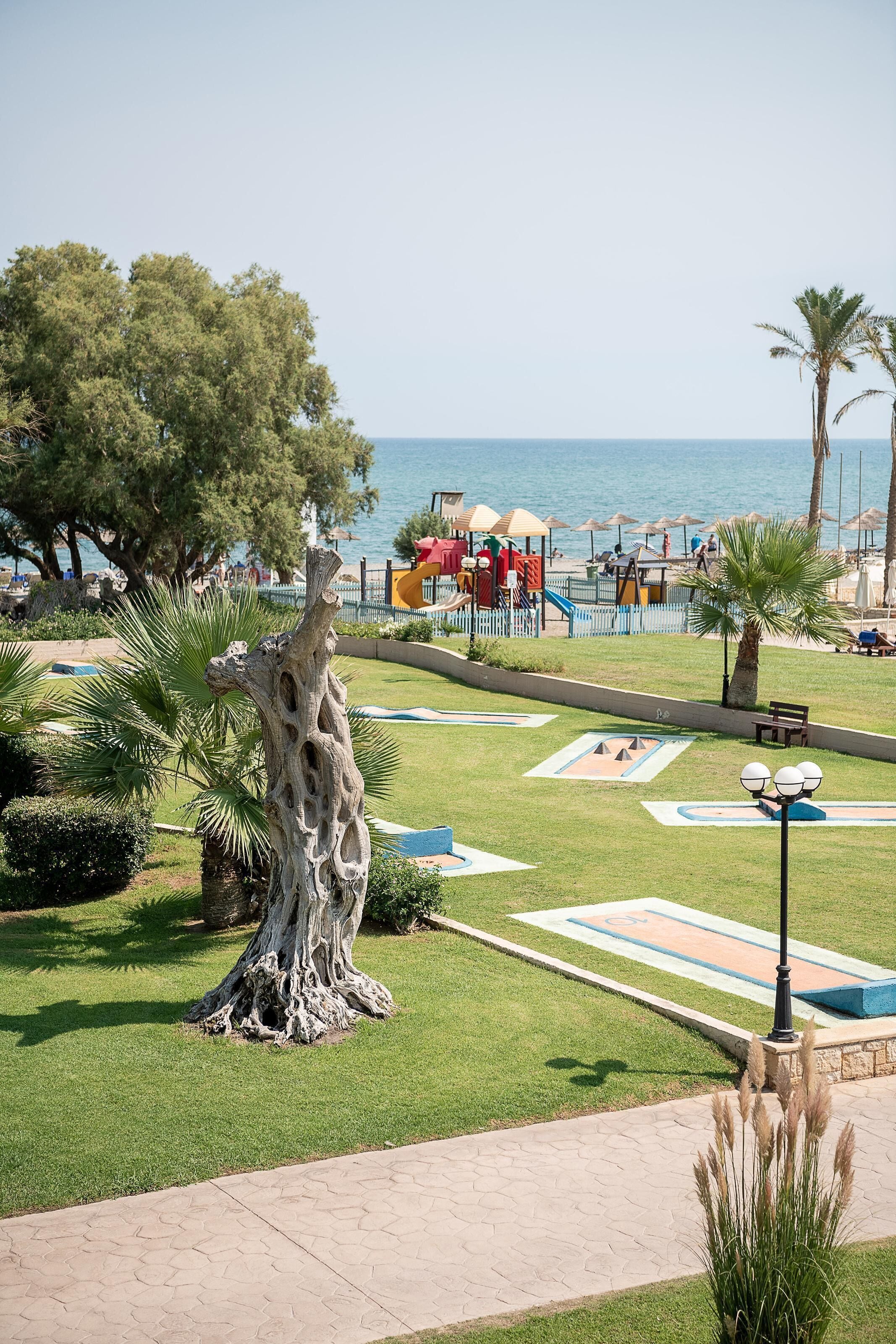 A park with a palm tree, a playground, and a view of the sea.