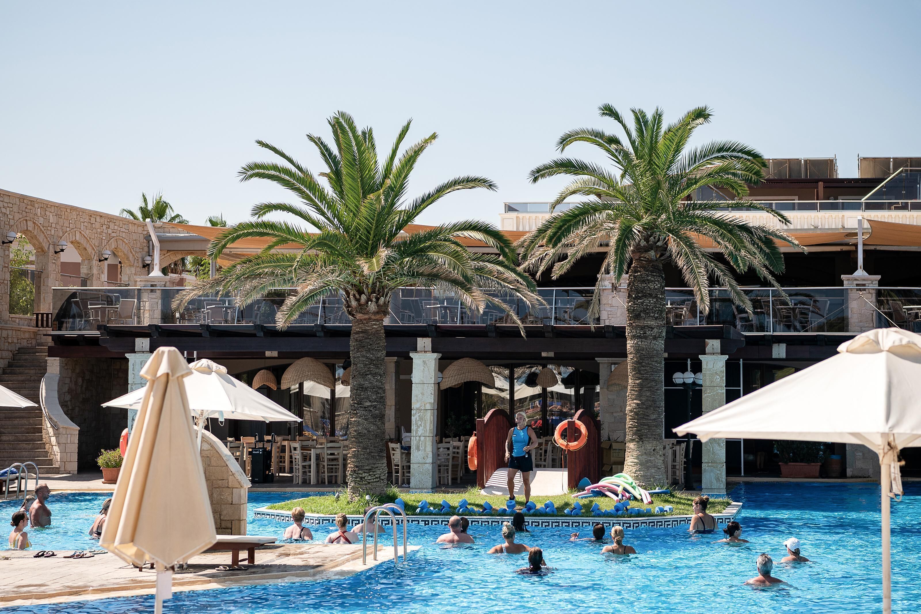 Un área de piscina con palmeras, sillas de descanso y sombrillas.