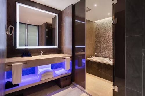Suite Deluxe, 1 très grand lit | Salle de bain | Douche cascade, articles de toilette (gratuits), séchoir à cheveux
