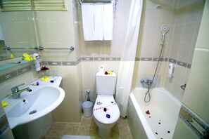 Business Suite | Bathroom | Shower, free toiletries, hair dryer, soap