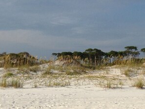 A sandy beach with sparse vegetation and trees in the background. - Stunning 30A Home-Pool, Bikes, Golf Cart, Pickleball, AC, 5 mins to the Beach (Santa Rosa Beach)