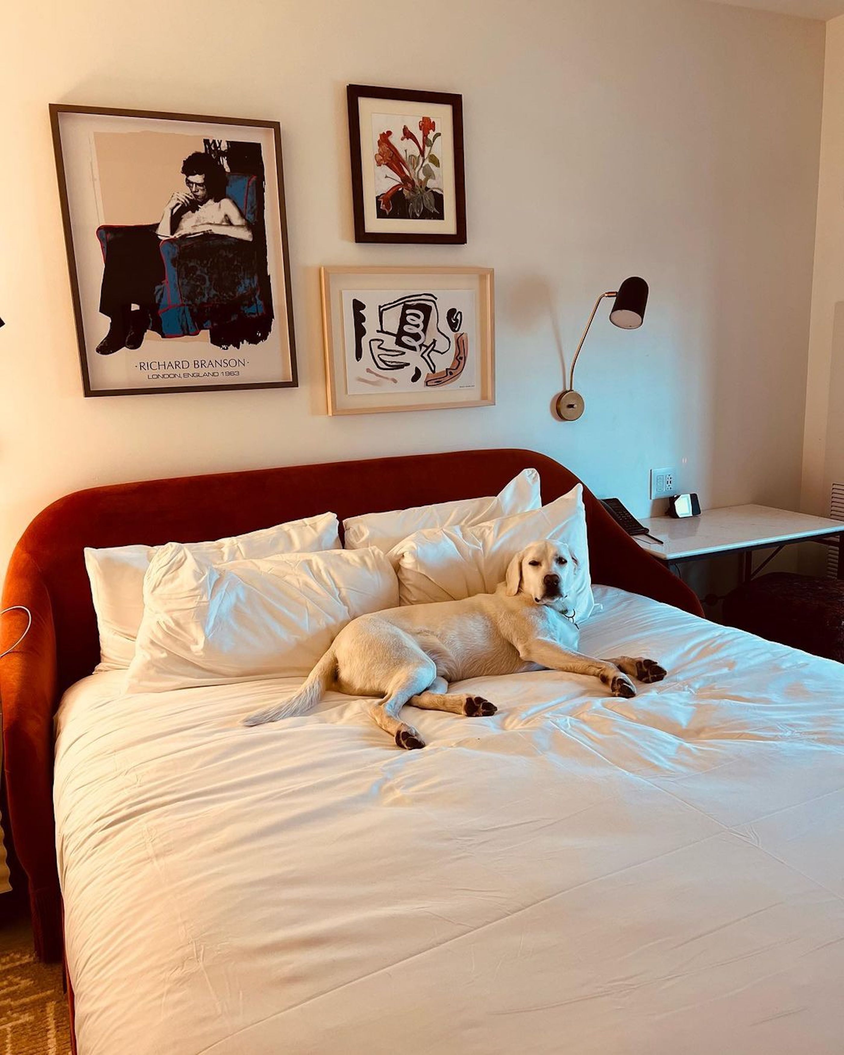 A bed with a white comforter and pillows, a dog lying on the bed, a desk with a lamp, and two framed artworks on the wall.