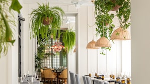 Un comedor con sillas a rayas, una mesa redonda, plantas colgantes e iluminación colgante.