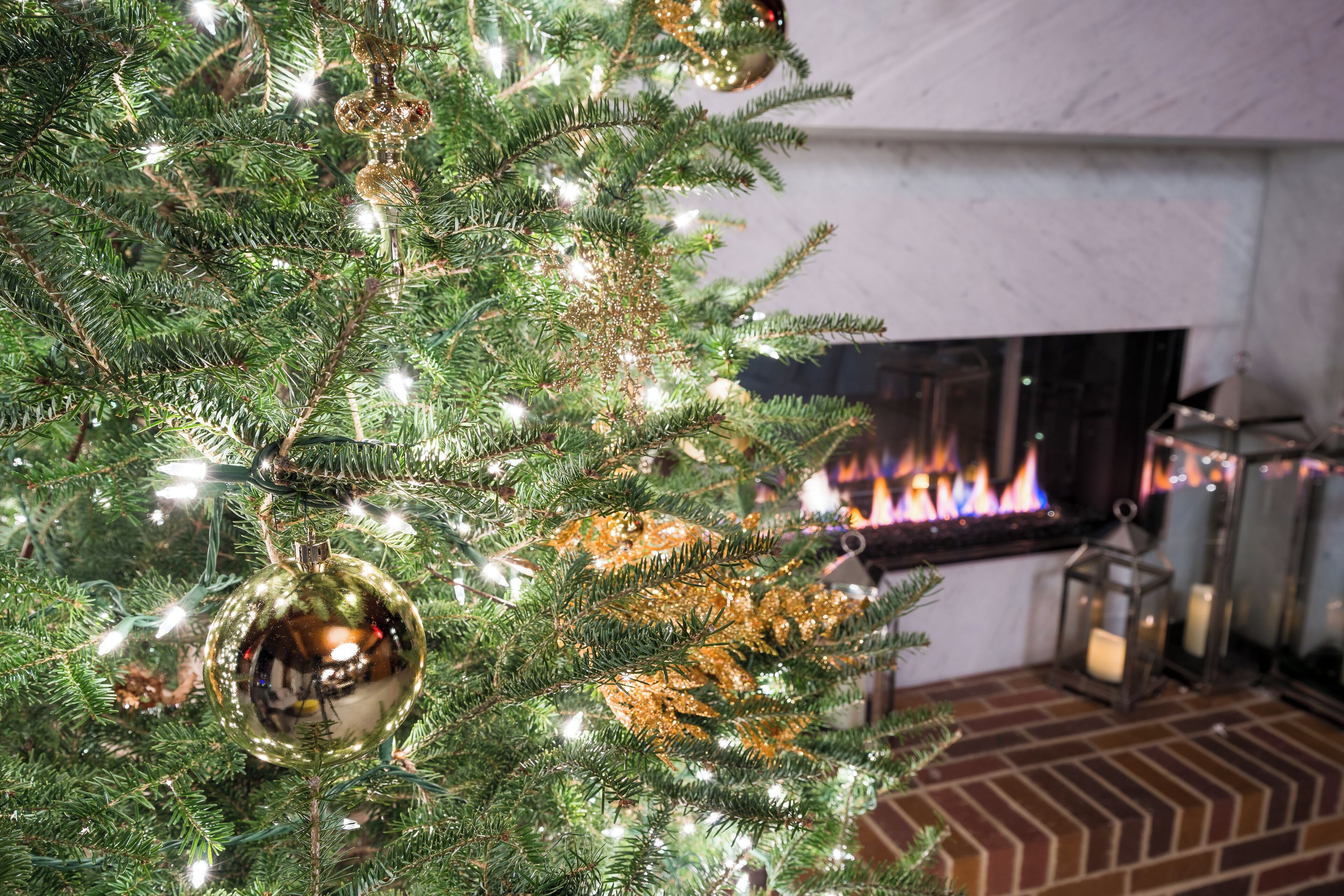 breakfast, lunch and dinner served