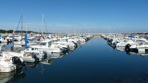A marina with numerous boats docked in calm waters, a clear sky, and a rocky shoreline in the background. - Familienurlaub, Haustiere, Sonne, Meer, Wandern, Radfahren (Argelès-sur-Mer)