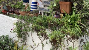 A garden with potted plants and a wooden signpost with directional signs. - Familienurlaub, Haustiere, Sonne, Meer, Wandern, Radfahren (Argelès-sur-Mer)