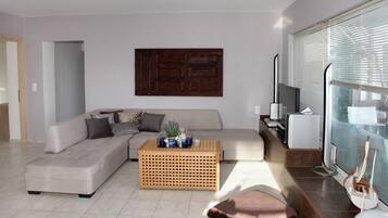 Télévision, lecteur de DVD, table de tennis de table