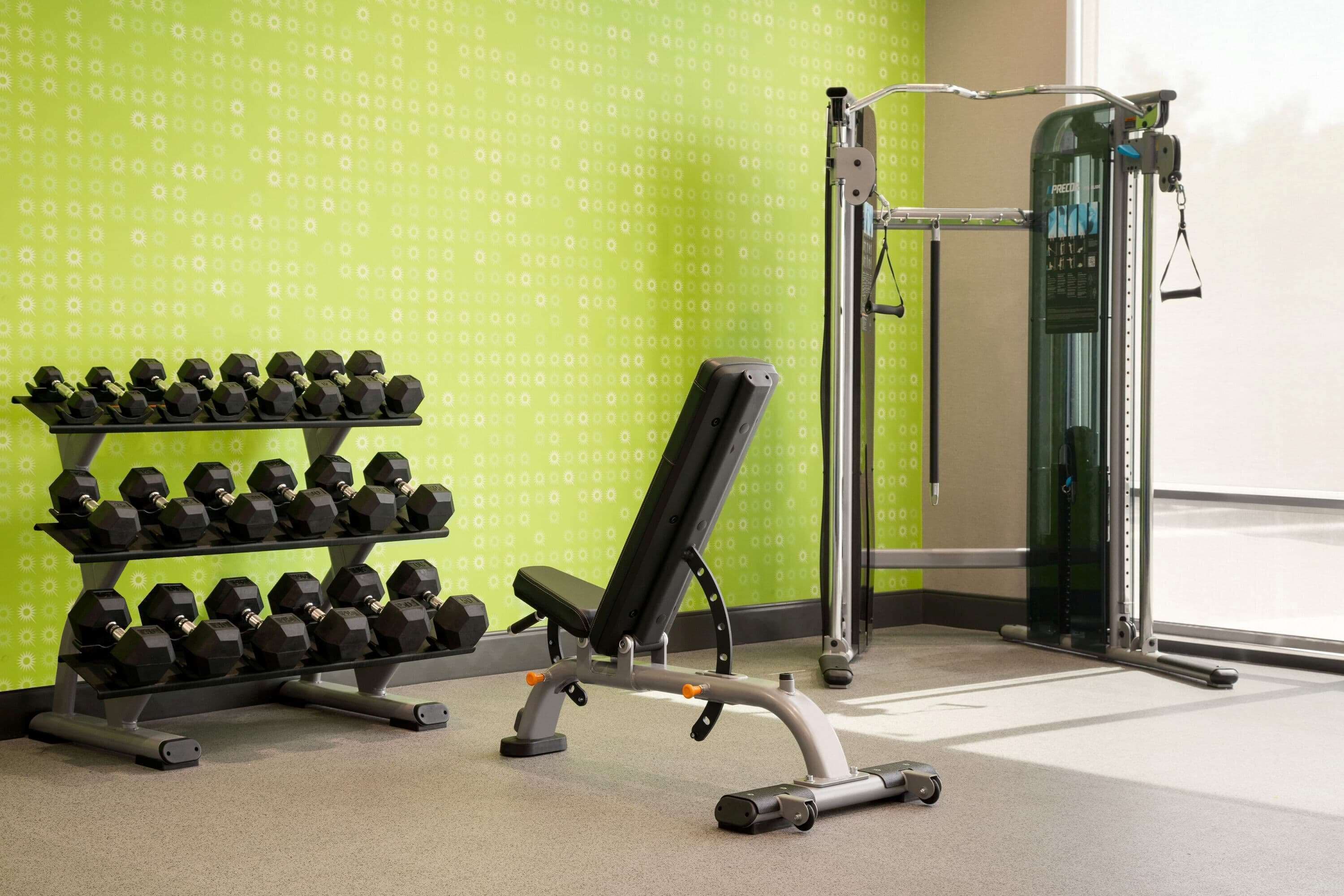 Un gimnasio con una banca, mancuernas y una estructura para sentadillas.