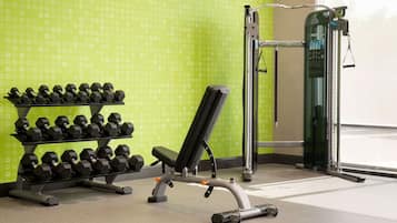 Ein Fitnessraum mit einer Bank, Kurzhanteln und einem Squat-Gestell.