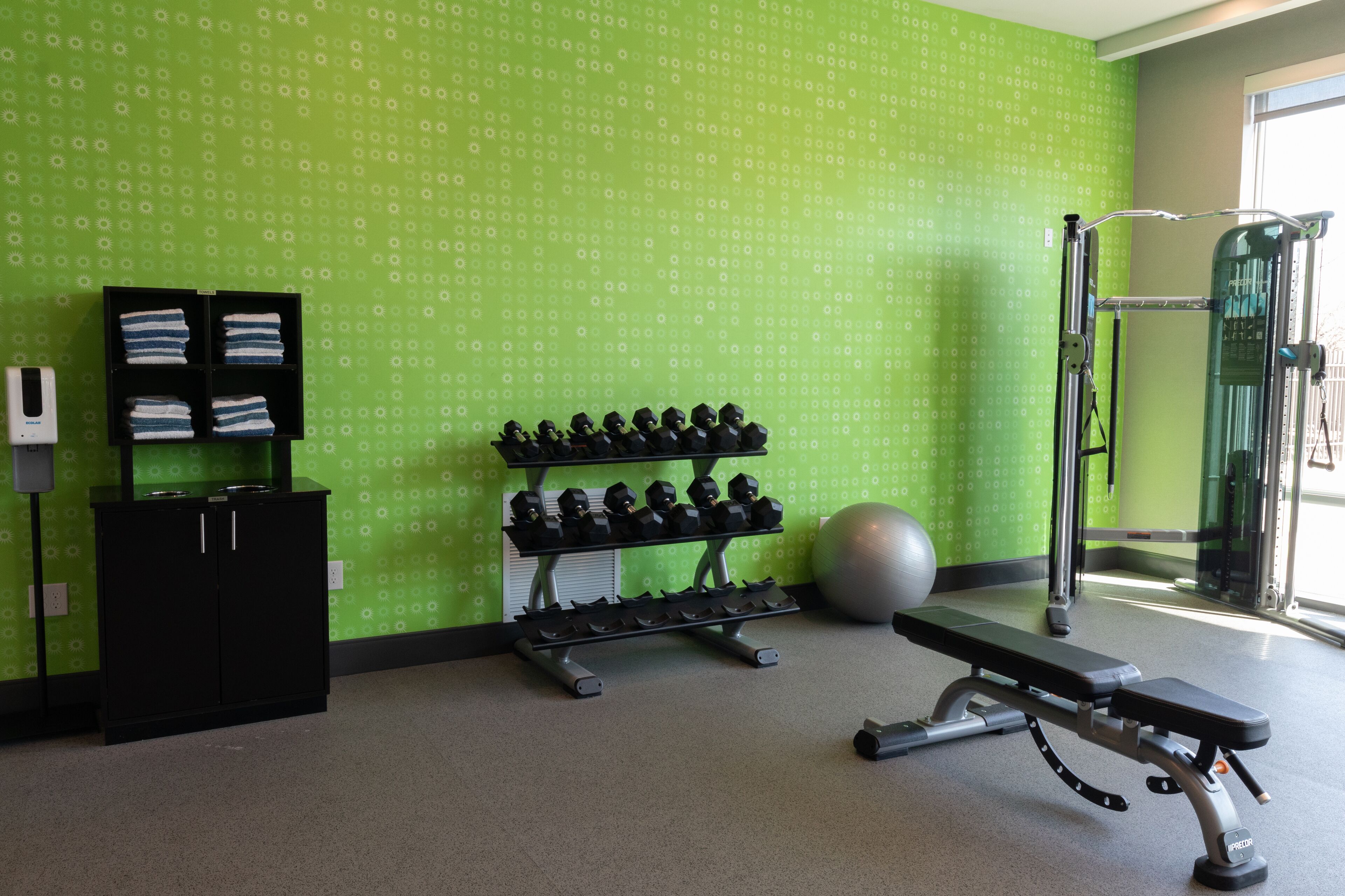 Une salle de sport avec un mur à motifs verts, un banc, des haltères, un ballon lesté et un support à squats.