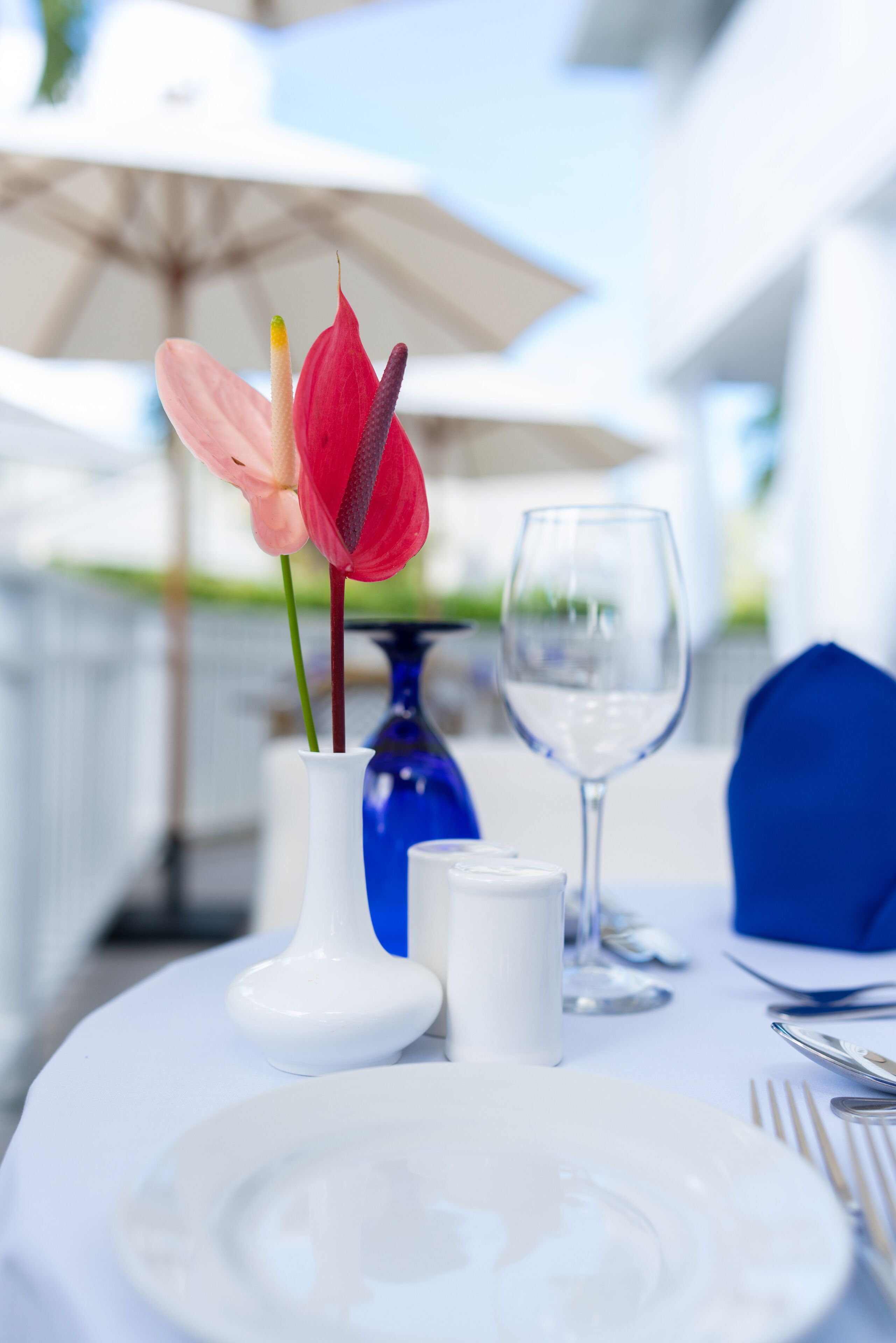 Foto - Soco House New Boutique   Adults Only