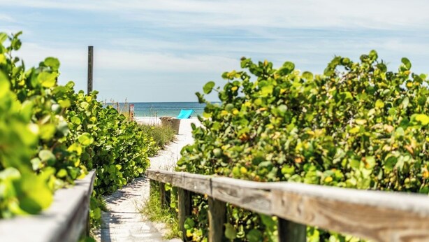 A beach path with a wooden fence, leading to a beach with a blue umbrella. - Poolside Paradise with Patio, Steps from Beach (St. Pete Beach)