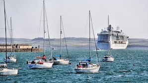 A harbor with several sailboats and a large cruise ship.