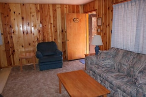 TV, fireplace, DVD player