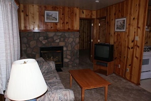 TV, fireplace, DVD player