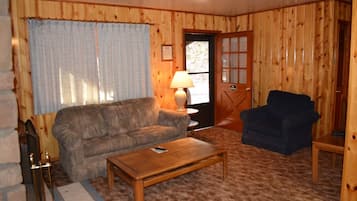 TV, fireplace, books