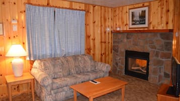 TV, fireplace, DVD player