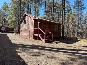 Cozy cabin nestled among tall pine trees, featuring a front porch and chimney.