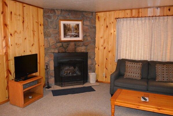 TV, fireplace, books