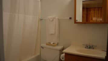 Combined shower/tub, hair dryer