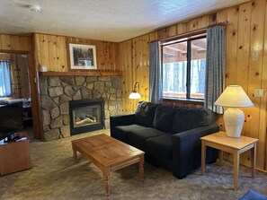 Fernseher, Kamin, DVD-Player