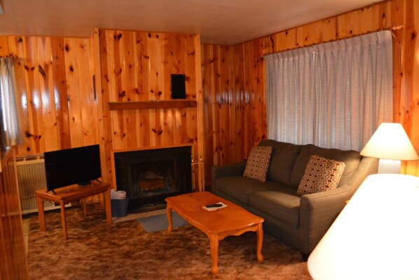 TV, fireplace, DVD player