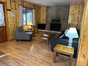 TV, fireplace, books