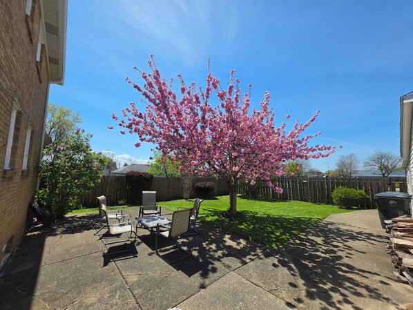 A patio with outdoor furniture, a tree with pink blossoms, and a wooden fence. - Fireman's Park Quarters (Depew)