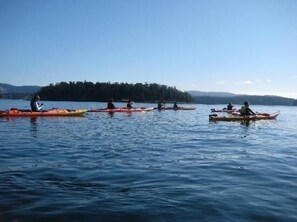 A group of kayakers on a calm lake with a forested island in the background. - Bramble Seaview Cottage (Entire Property) with Sparkly Water View in Eastsound (Eastsound)