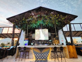 Bar (en la propiedad)