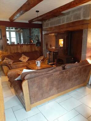 TV, fireplace, books