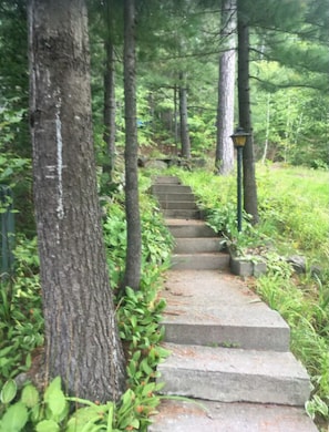 Steps lead through a serene forest setting, surrounded by lush greenery and tall trees.