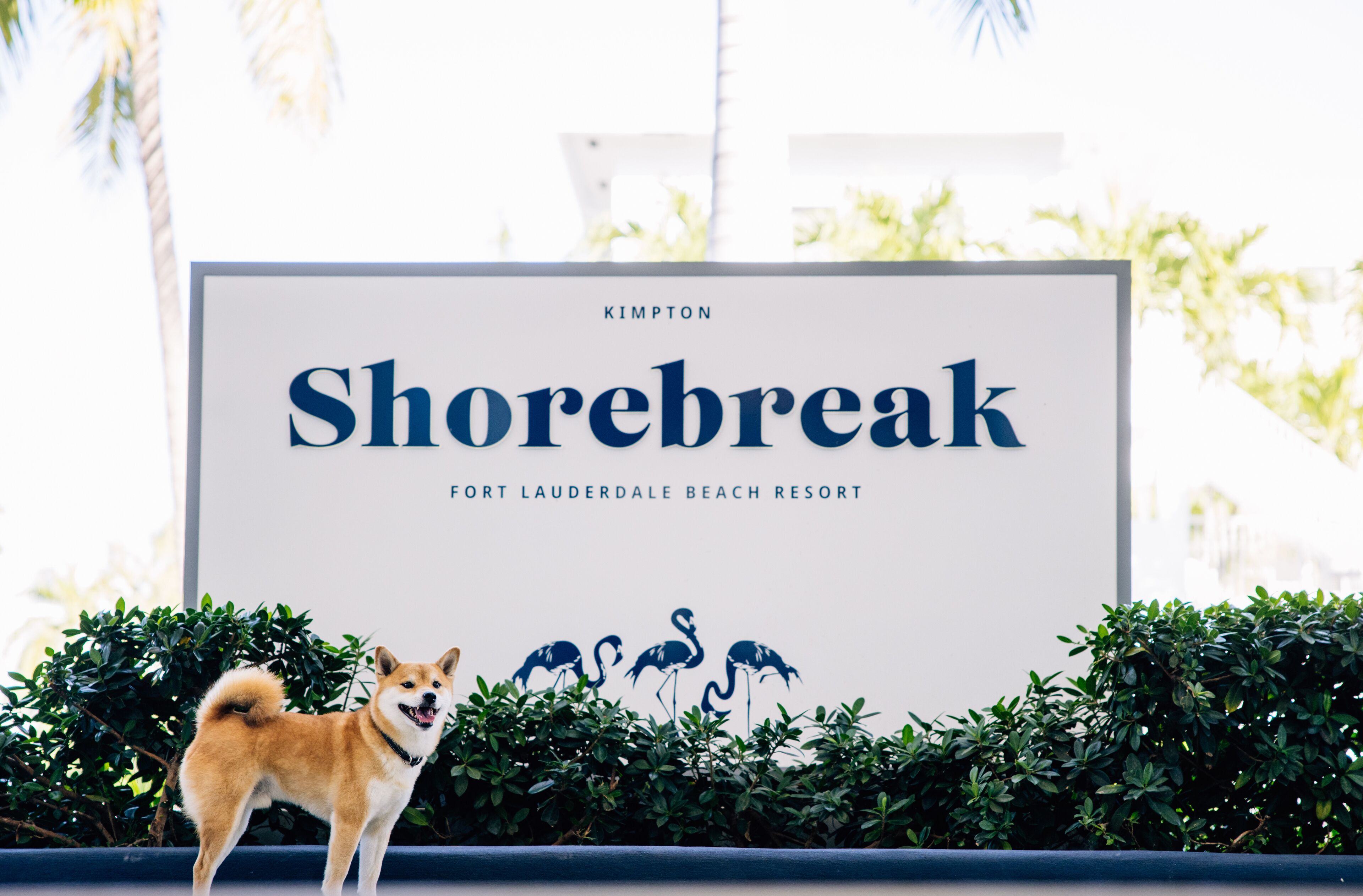Photo - Kimpton Shorebreak Fort Lauderdale Beach Resort by IHG