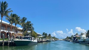 Un puerto deportivo con barcos amarrados a lo largo de la costa, palmeras y un edificio con balcones.