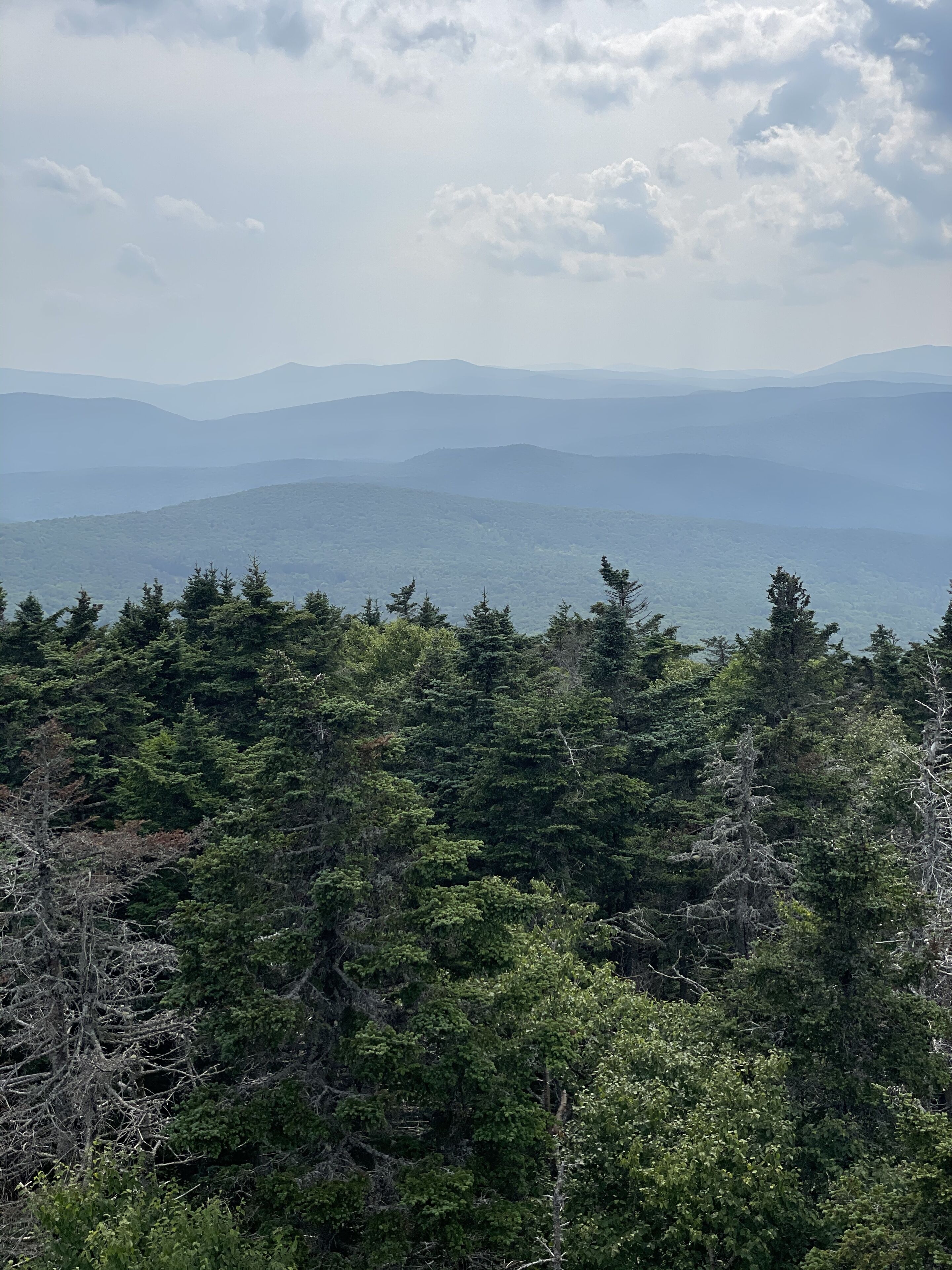 A forested mountain landscape with dense evergreen trees and distant mountain ranges under a partly cloudy sky.