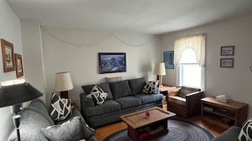 智能電視、壁爐、DVD 播放機