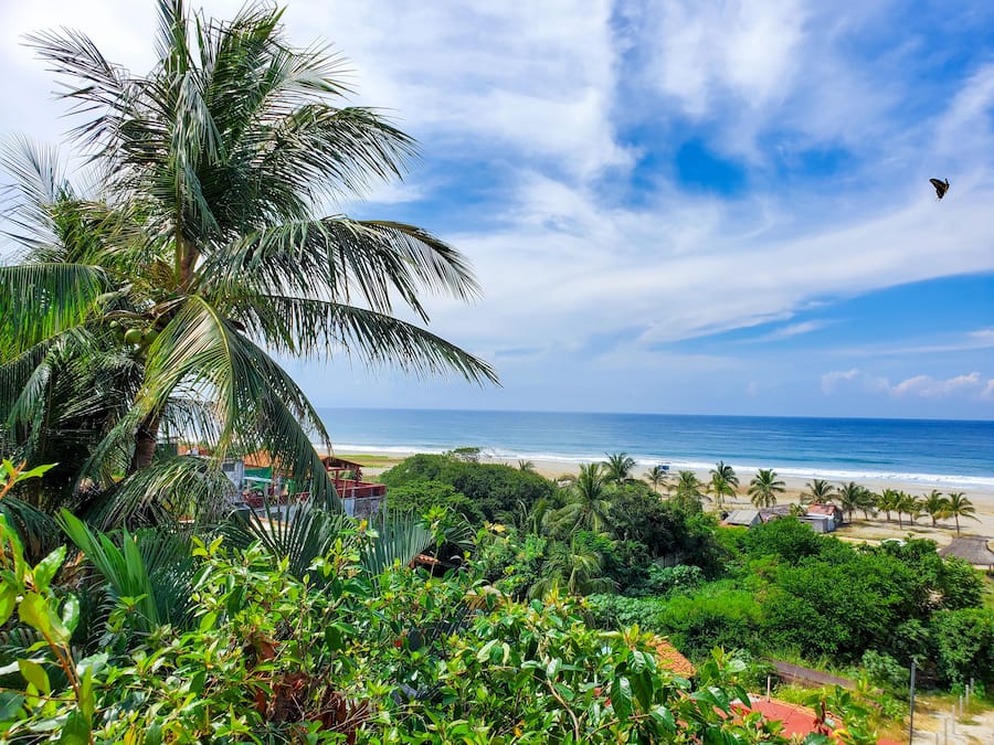 Vista dalla struttura