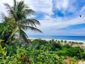 Vista dalla struttura