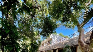 A pathway leading to a building with a thatched roof and wooden railings, surrounded by lush greenery and trees.