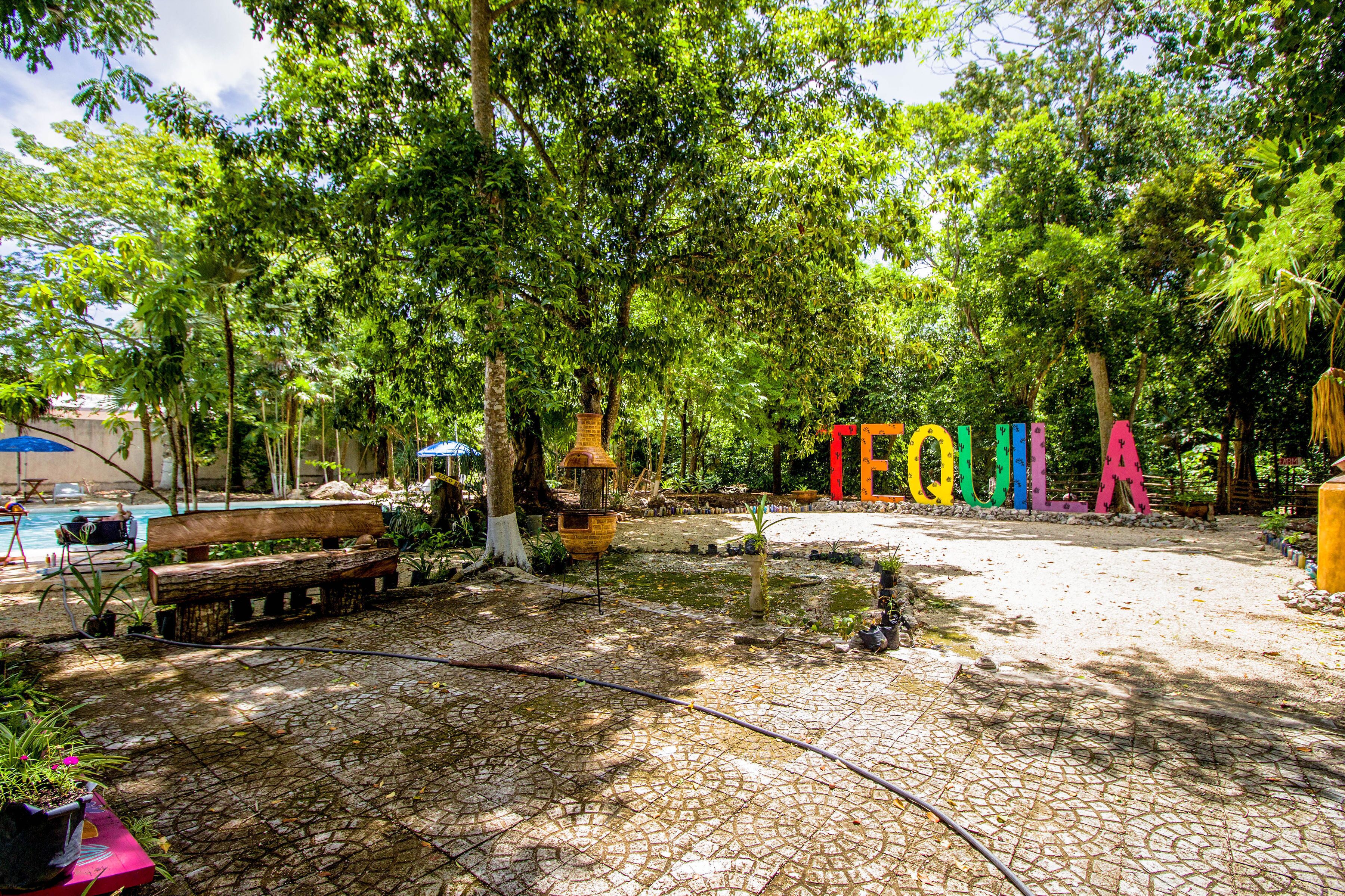 Foto - Hotel Tequila Cancun