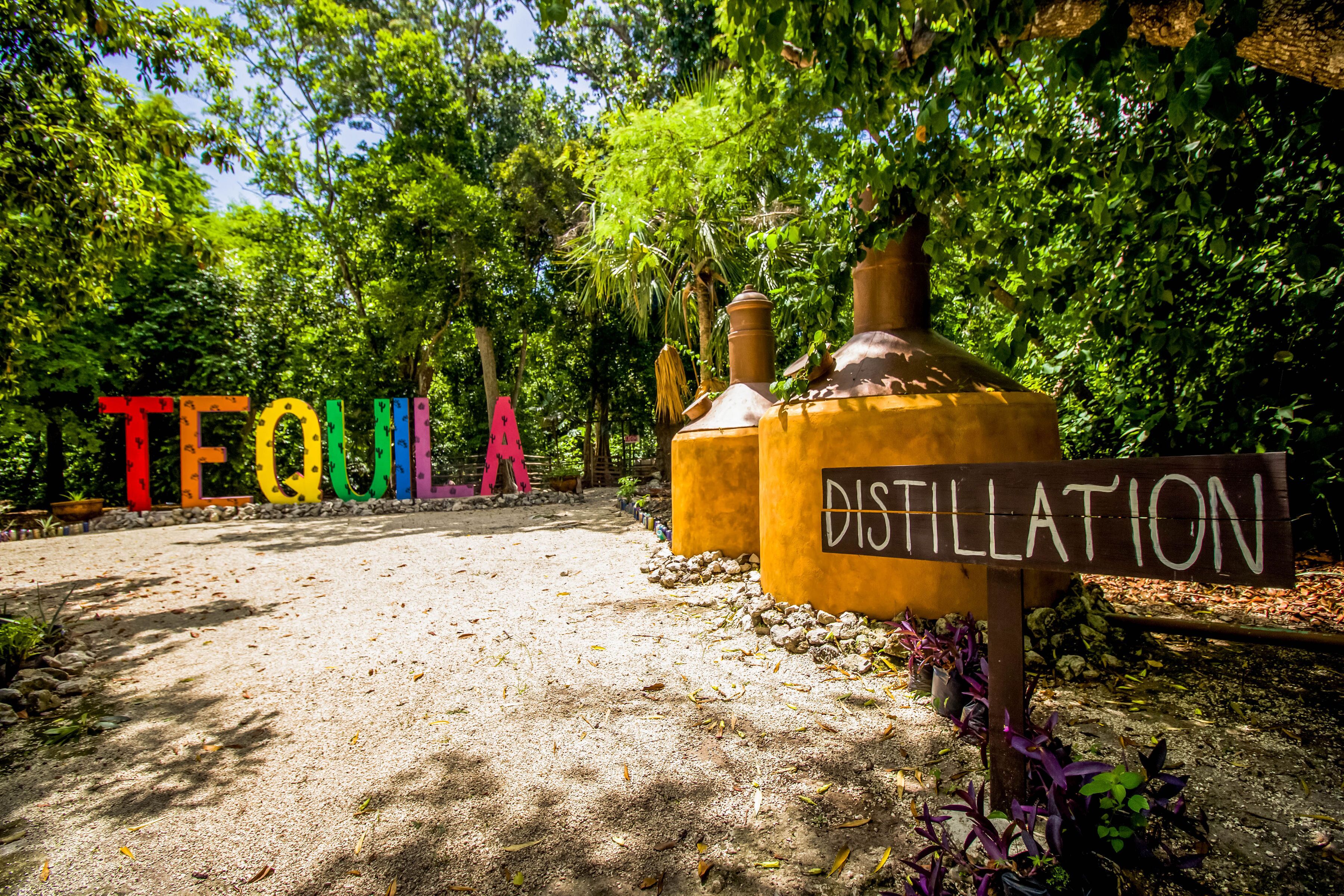 Foto - Hotel Tequila Cancun