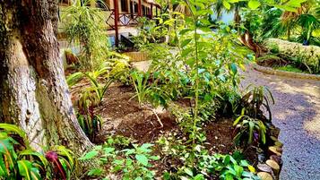 Vista al jardín