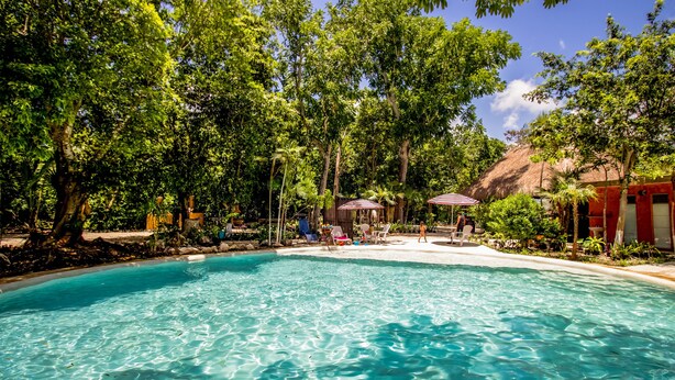 A clear blue pool surrounded by lush greenery and shaded by trees.