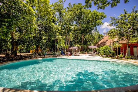 Outdoor pool, sun loungers