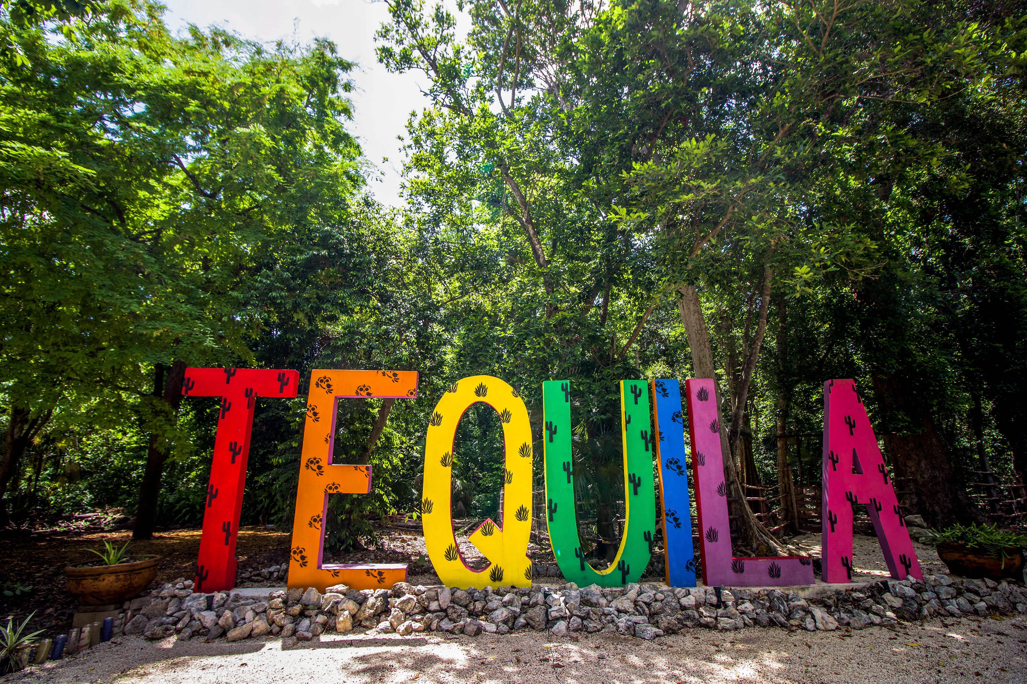 Foto - Hotel Tequila Cancun