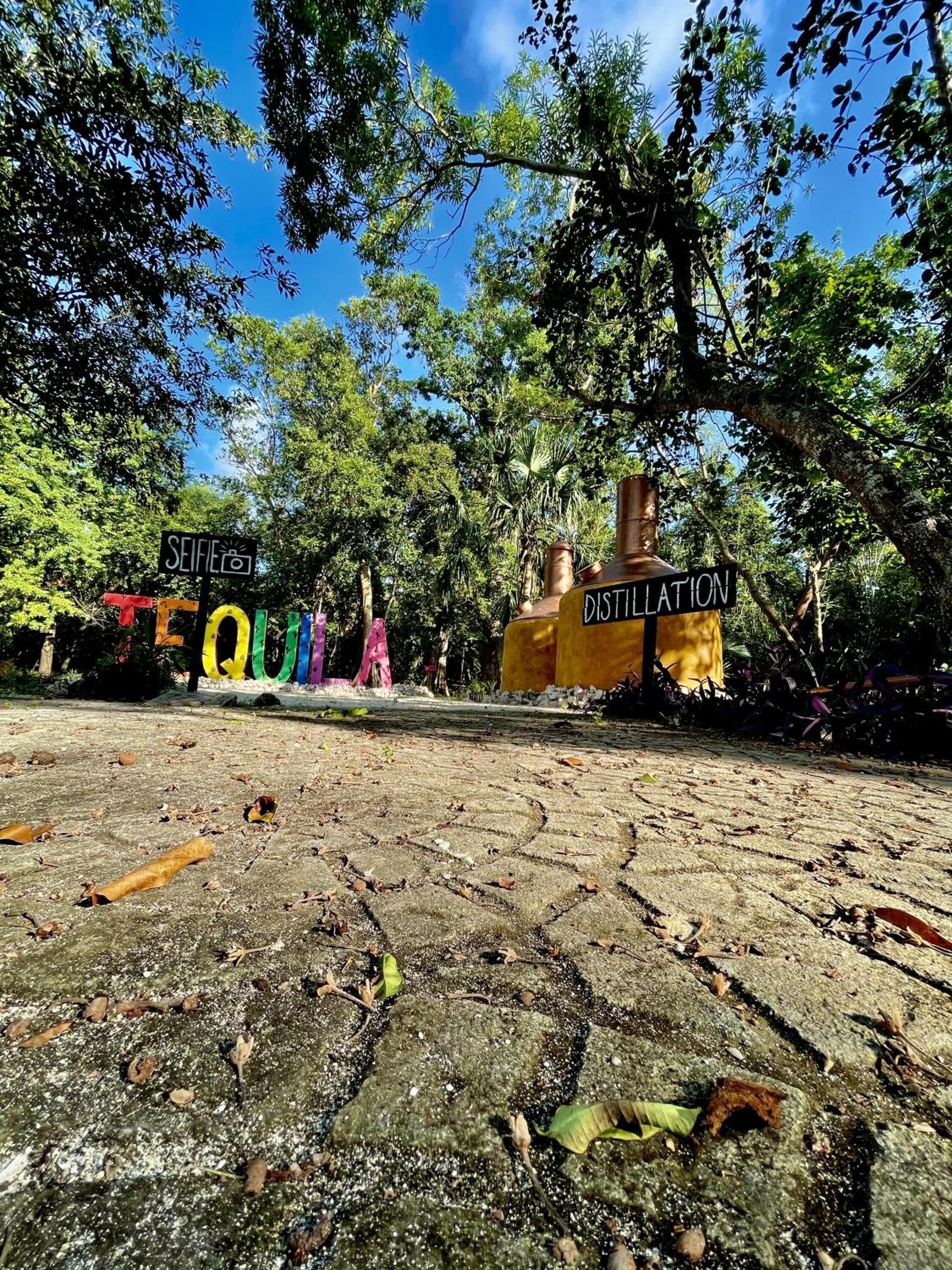 Foto - Hotel Tequila Cancun